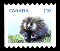 Canada (Scott No.2608i - Faune Et Leurs Bébés / Wild Animal's Babies 2012) (**) NOTE - DC - Neufs