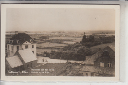 4240 EMMERICH - ELTEN, Panorama Auf Den Rhein - Emmerich