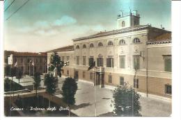 77509) Cartolina Di Cesena - Palazzo Degli Studi - Viaggiata - Cesena