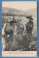 ESPAGNE - PLANTACIONES De ANTONIO CAUBET En Jaca - Huesca