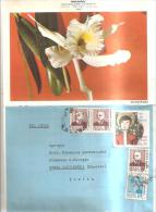 79905)lettera Posta Aerea Da Brasile Italia( Messina) - Airmail