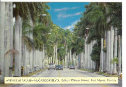 Avenue Of Palms - McGregor Blvd - Edison Winter Home, Fort Myers, Florida - Old Cars - Fort Myers