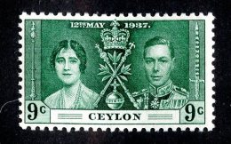 2225x)  Ceylon 1937 - SG #384  M* Sc #276 - Ceylon (...-1947)