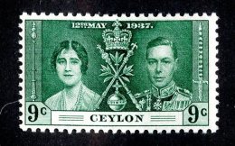 2225x)  Ceylon 1937 - SG #384  M* Sc #276 - Ceylan (...-1947)