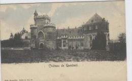 CP Château De Gaesbeek Nels S. 11, N° 19 Vers 1903 Colorisé - Lennik