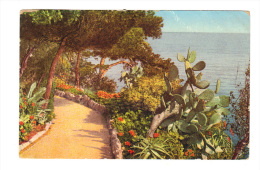 Monaco: Etude, Bord De Mer, Flore Artistique (13-3259) - Jardin Exotique