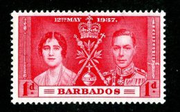 2247x)  Barbados 1937 - SG #245  M* Sc #190 - Barbades (...-1966)