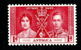 2256x)  Antigua 1937 - SG #95  M* Sc #81 - 1858-1960 Colonia Británica