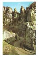 Cp, Angleterre, Cheddar, The Gorge, Voyagée 1967 - Cheddar