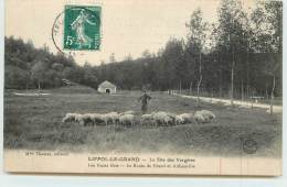 LIFFOL LE GRAND  - Le Site Des Vergères.(berger Et Ses Moutons). - Liffol Le Grand