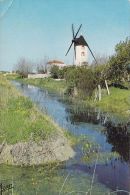 Cp , RÉGIONS , POITOU-CHARENTES , Moulin Dans Les Marais - Poitou-Charentes