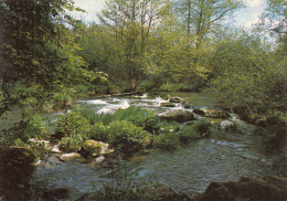 Anloy - La Lesse à Cuy - Libin