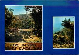 TC-TO13 -146 : Guadeloupe Parc Naturel - Pointe A Pitre