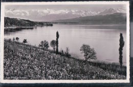 Beinwil Am See - Am Hallwilersee - Beinwil Am See