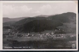 Hinterzarten - Teilansicht - Hinterzarten