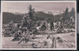 Hinterzarten - Blick Nach Dem Feldberg - Hinterzarten