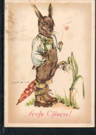 PEYK, HILLA  -  FROHE OSTERN  ~ 1940    HASEN    Nr. 902 - Peyk, Hilla