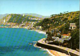 PHILIPPEVILLE ( SKIKDA)-LES PLAGES- CARTE POSTALE PANORAMIQUE ( 40cm X 24cm ) - Skikda (Philippeville)