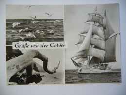 ROSTOCK - Bezirk - Segelschulschiff Der GST "Wilhelm Pieck" 1979 Used Stamp - Rostock