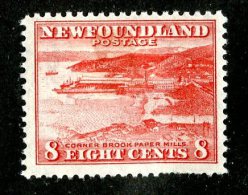 2455x)  Newfoundland 1933 - SG # 215  Mint* Faulty Perfs ( Catalogue £9.00 ) - 1908-1947