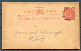 1900 Australia Tasmania Frankford Stationery - Hobart. Government Entomologist - Apple Trees - Lettres & Documents