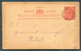 1900 Australia Tasmania Frankford Stationery - Hobart. Government Entomologist - Apple Trees - Storia Postale