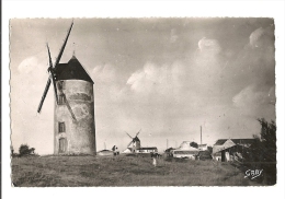 Cp, 85, Notre-Dame-de-Monts, Les Moulins Neufs, Voyagée 1953 - Autres & Non Classés