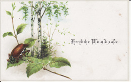 CPA Herzliche Pfingstgrüsse, Hanneton,  Insecte, 1917 ( Dos Scanné ) - Pentecostés