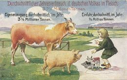 AK Propaganda Jahresverbrauch In Fleisch Aufruf Zur Wahl ~1910 #77 - Political Parties & Elections