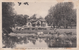 49 - SEICHES SUR LOIR - LES TRINOTTIERES / PAVILLON PRINCIPAL - Seiches Sur Le Loir