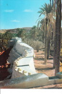 D23 1017 - ALGERIE - GHARDAIA - Le Barrage De Béni Isguen - éditeur à Tlemcen - Ghardaïa