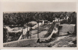 ALGERIE - LAGHOUAT - Village Chtett - D21 983 - Laghouat