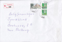 Denmark Registered Recommandé Einschreiben Label AALBORG Kastetvej Px Label 2005 Cover Brief Lion Arms Löwe - Cartas & Documentos