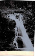 Allemagne -  Tabarz ?  Wasserfall Im Kuhlen Thal - Carte éditée à Darmstadt - Tabarz
