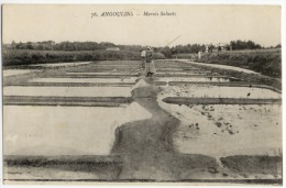 ANGOULINS. - Marais Salants - Angoulins