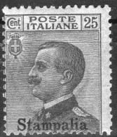 1912 Stampalia - Francobolli D´Italia Soprastampati 25 C - Egée (Stampalia)