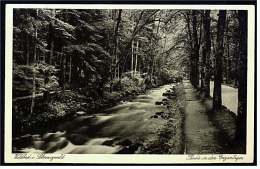 Wildbad  Im Schwarzwald  -  Partie In Den Enzanlagen  -  Ansichtskarte Ca.1930    (2397) - Bad Herrenalb