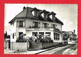 Orne - JUVIGNY SOUS ANDAINE - Hôtel De La Forêt - Juvigny Sous Andaine