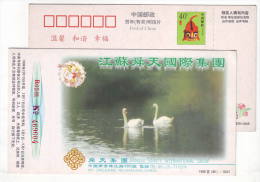 China 1998 Sainty International Group Advertising Pre-stamped Card Rare Swan Pairing Partner - Schwäne