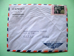 French West Africa - Upper Volta 1958 Cover To France - Bananas - Lettres & Documents