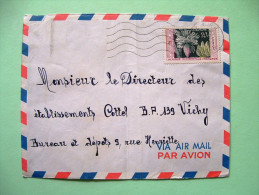 French West Africa - Niger - 1958 Cover To France - Bananas - Covers & Documents