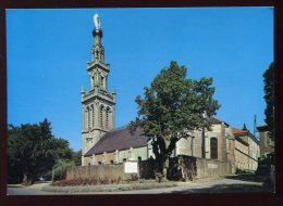 CPM Neuve 54 VEZELISE La Basilique Pèlerinage à Notre Dame De Sion - Vezelise