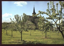 CPM Neuve 39 GENDREY Abbaye Notre Dame D'Acey Vitreux Arbres En Fleurs - Gendrey