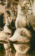 CPSM Grotte De Lacave   L1415 - Lacave