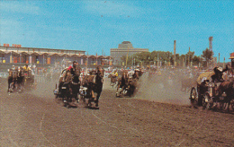 Canada Calgary Stampede Chuckwagon Races - Calgary