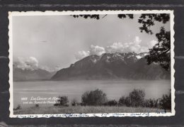 41548      Svizzera,    Lac  Leman  Et  Alpes  Vue  Du   Signal  De  Chexbres,  VG  1953 - Chexbres