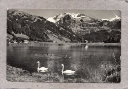 41552     Svizzera,     Lenk B. O.  Seeli  Mit  Wildstrubel,  VGSB  1975 - Lenk Im Simmental