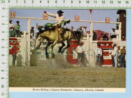 Alberta Canada Calgary Stampede ( Bronc Riding ) Post Card Carte Postale 2 Scans - Calgary