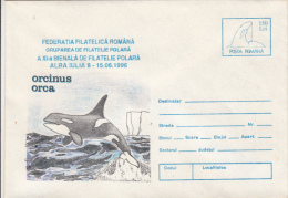 WHALE, ORCA, COVER STATIONERY, ENTIER POSTAL, 1996, ROMANIA - Baleines