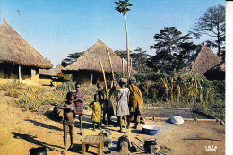 D23 9 - MALI - La Vie Au Village - Mali